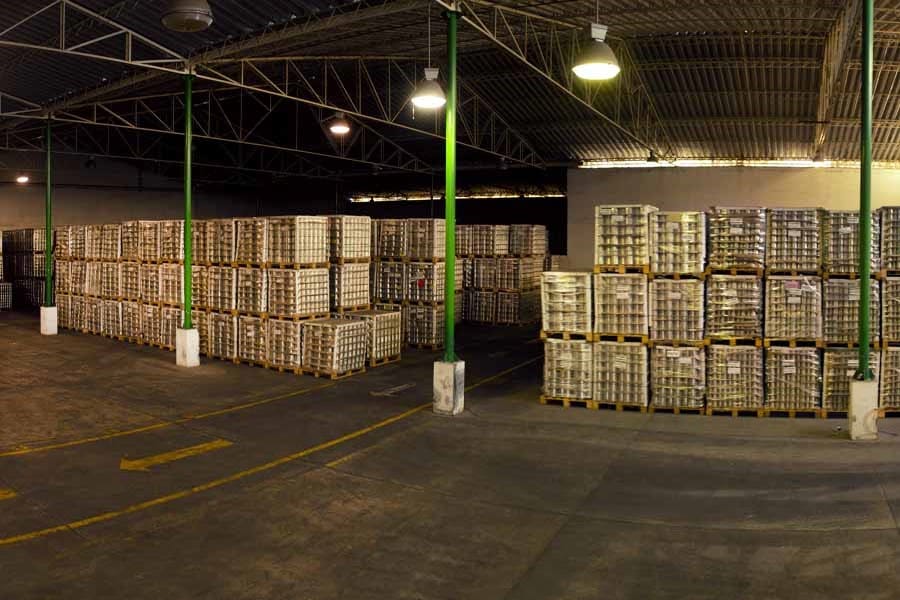 depósito logístico: Beneficios de almacenar tu mercancía estratégicamente